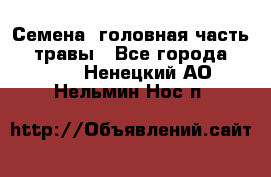 Семена (головная часть))) травы - Все города  »    . Ненецкий АО,Нельмин Нос п.